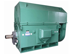 YR560-8Y系列6KV高压电机